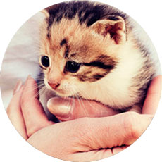 photos