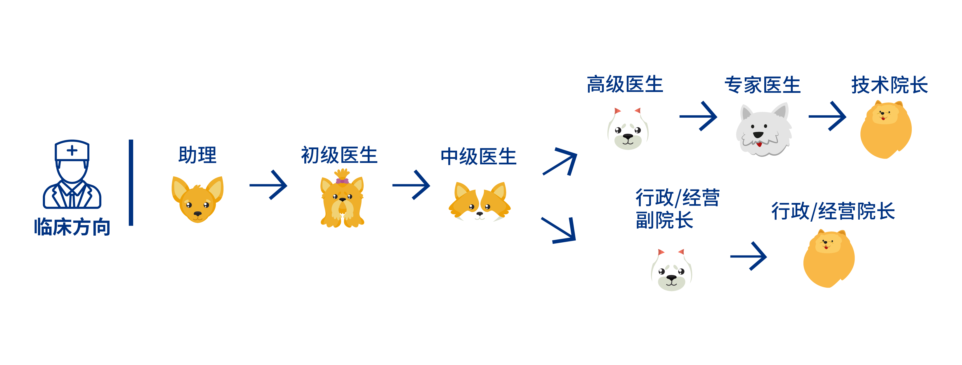20171023d338aa3802594242a9a79c45c8362793.png
