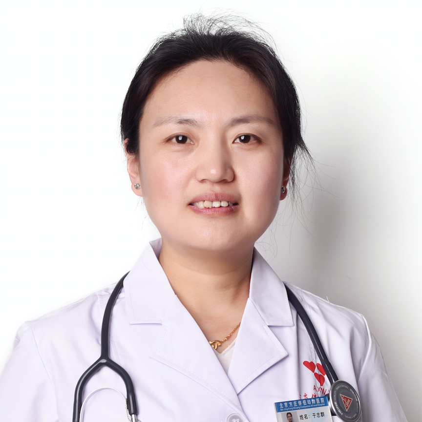 于志群
